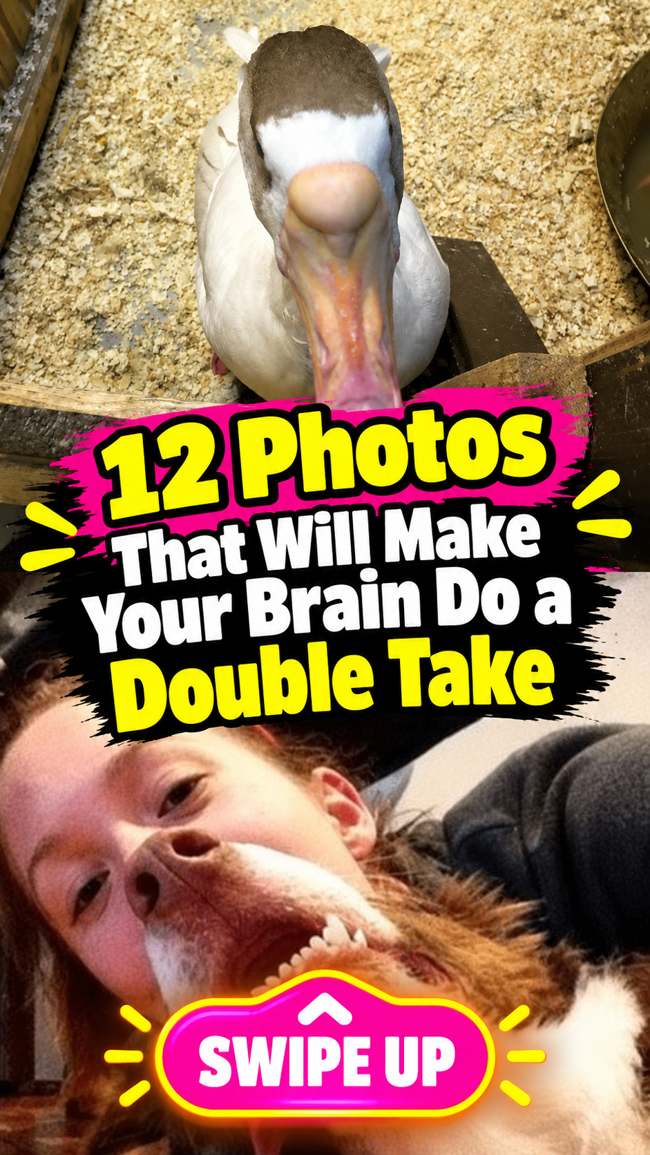 10 Photos That Will Make Your Brain Do a Double Take